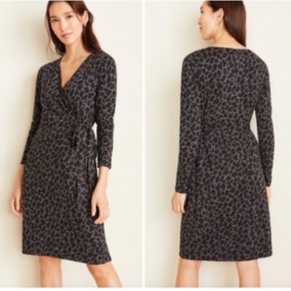 Ann taylor gray leopard print tie waist long sleeve wrap dress ❤️ - Picture 1 of 7